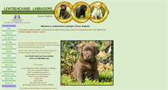Desktop Screenshot of lewtrenchard-labradors.co.uk