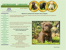 Tablet Screenshot of lewtrenchard-labradors.co.uk